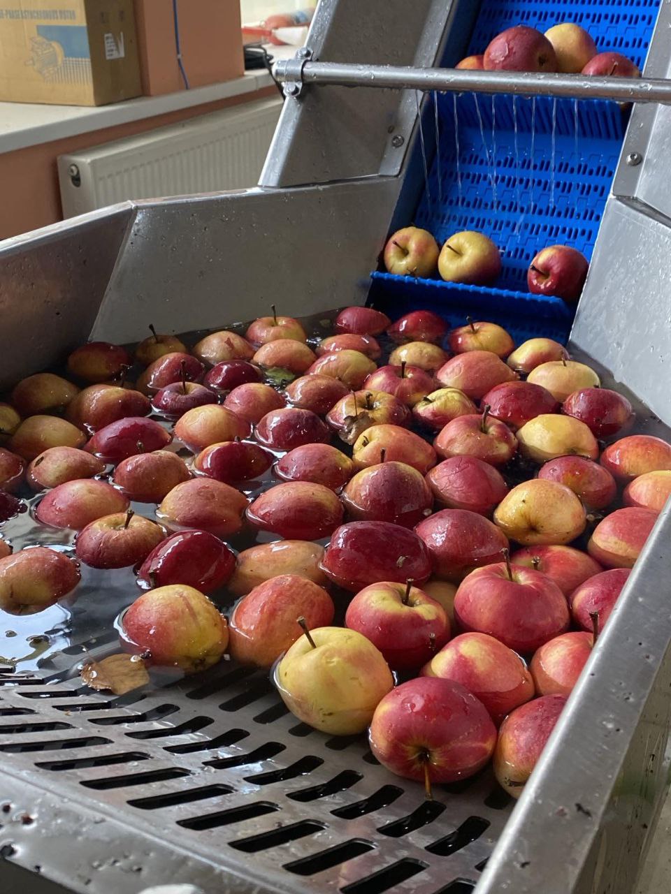 Обладнання для догляду за рослинами Ромашкіна